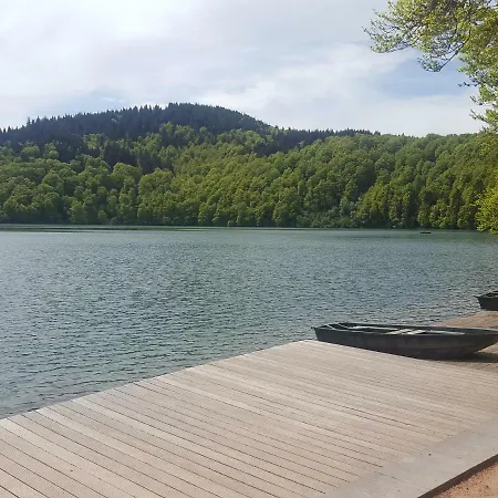 Gîte tout confort 4 personnes Besse-et-Saint-Anastaise Extérieur photo